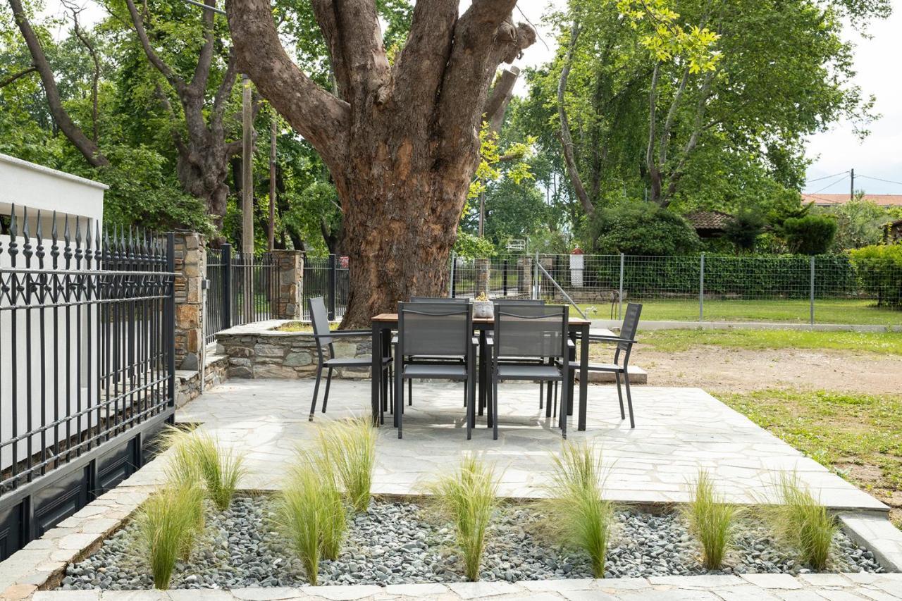 Paralía SkotínisElena Luxury Livingアパートメント エクステリア 写真